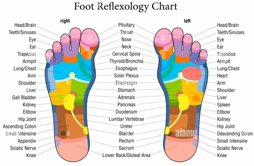 foot mapping